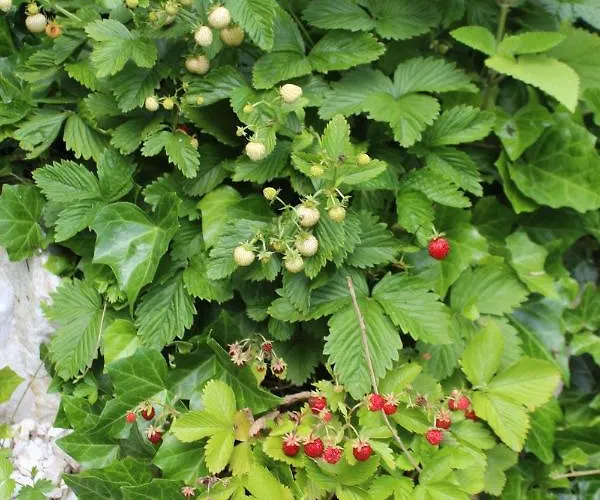 ,,gosia Goscinne Z Mini Aneksem I łazienką - Blisko Pkp Kwatera prywatna