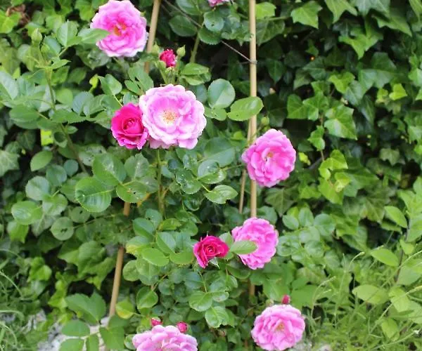 ,,gosia Goscinne Z Mini Aneksem I łazienką - Blisko Pkp Kwatera prywatna