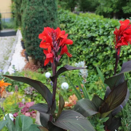 Accommodatie bij particulieren ,,gosia