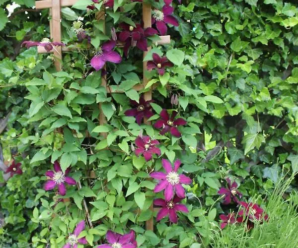 ,,gosia Goscinne Z Mini Aneksem I łazienką - Blisko Pkp Kwatera prywatna *