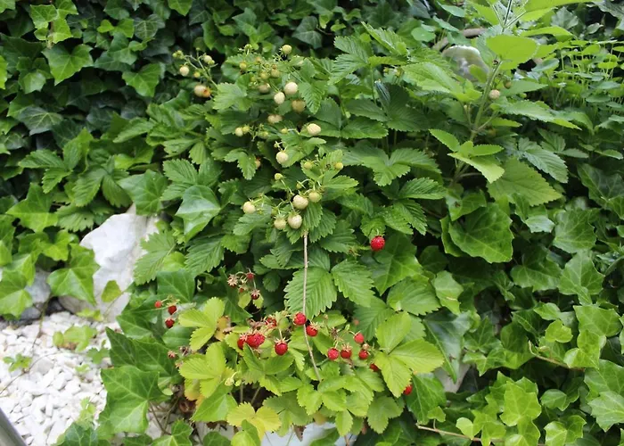 ,,gosia Goscinne Z Mini Aneksem I łazienką - Blisko Pkp Kwatera prywatna *